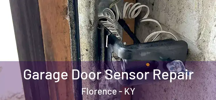 Garage Door Sensor Repair Florence - KY