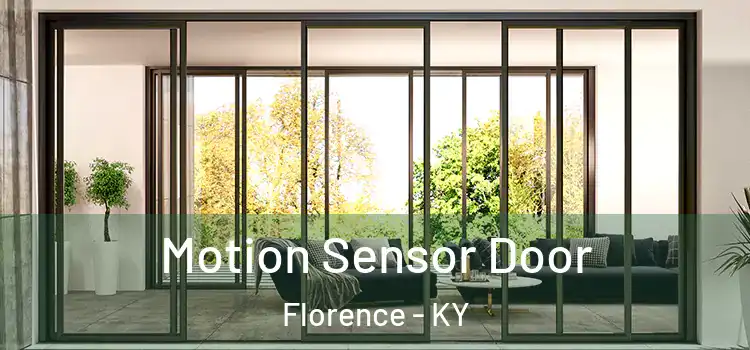 Motion Sensor Door Florence - KY